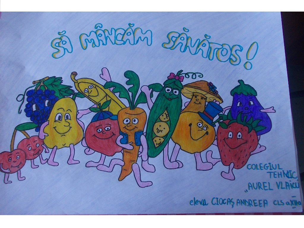 85_Ciocas Andreea_CT Vlaicu BM.jpg